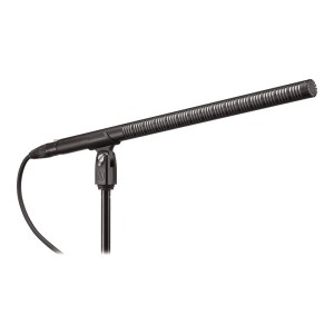 Audio-Technica BP4071 Long Shotgun 15.5" (Phantom)