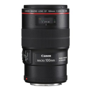 Canon EF 100mm f/2.8L Macro IS USM Lens